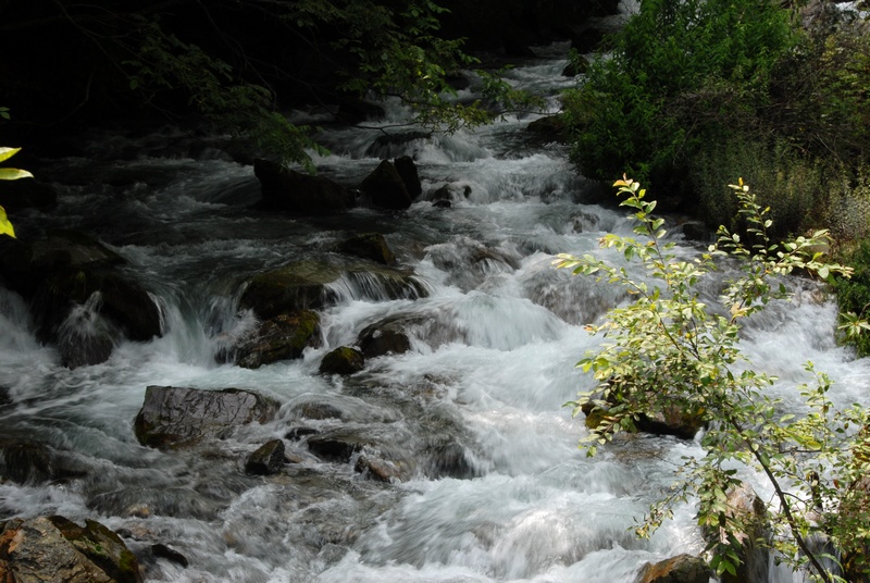 dsc_0430.jpg