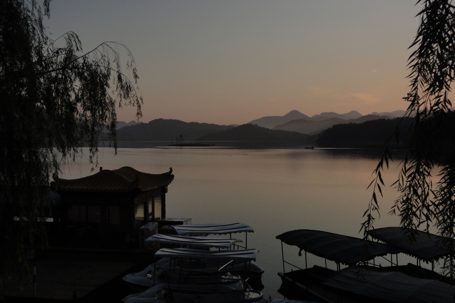 dsc05686.jpg