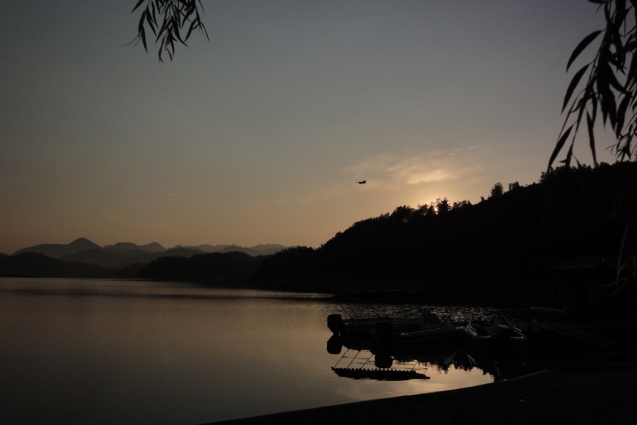 dsc05700.jpg