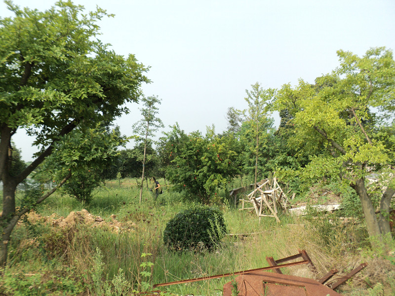 dsc05030_.jpg
