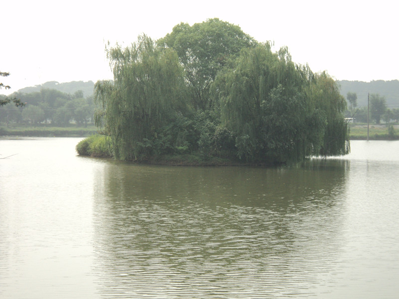 dsc05031_.jpg