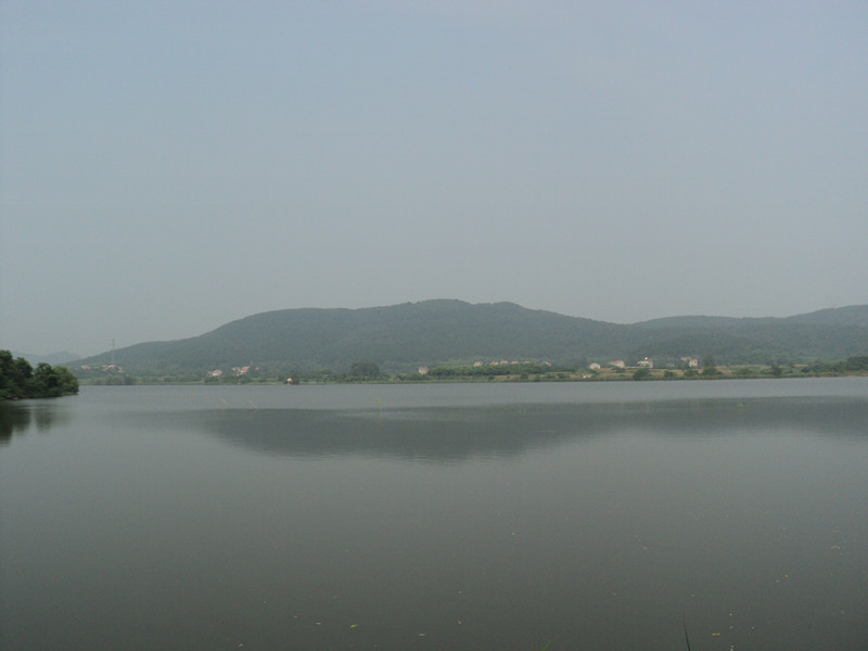 dsc05033_.jpg