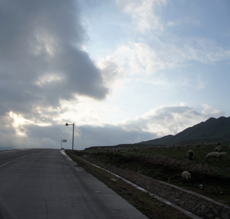 conew_dsc05686n.jpg