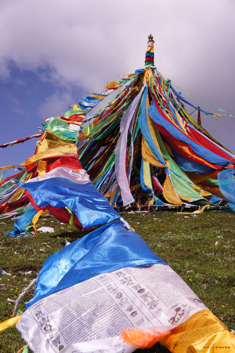 conew_dsc05584n.jpg