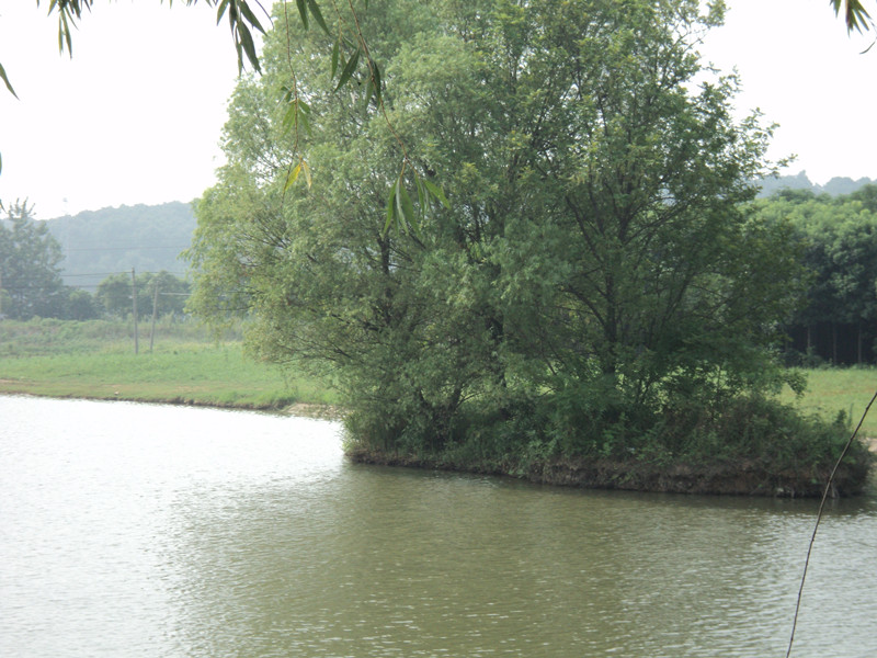 dsc05035_.jpg