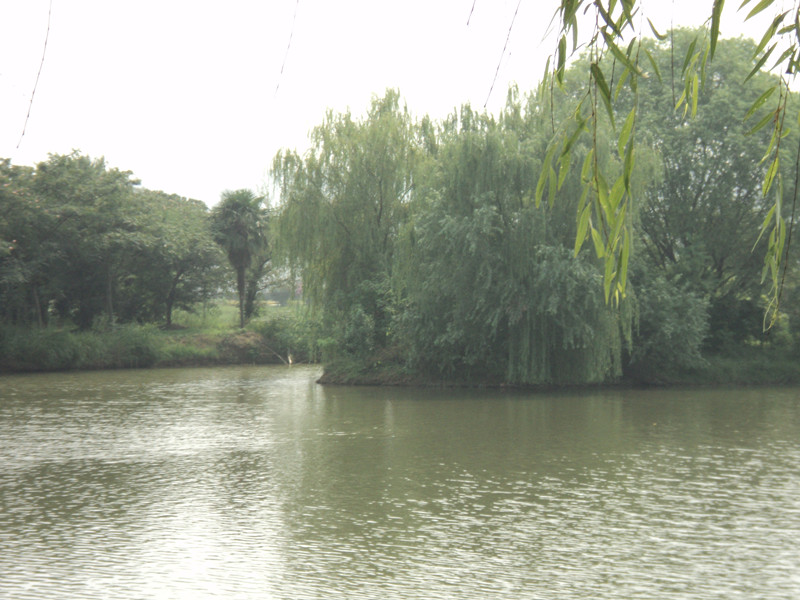 dsc05036_.jpg