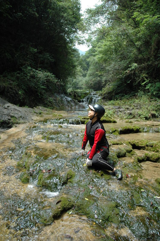 31ca4079lr.jpg