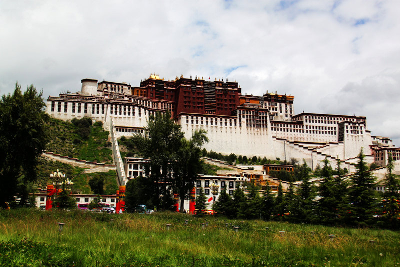 neo_img_img_1719=1.jpg