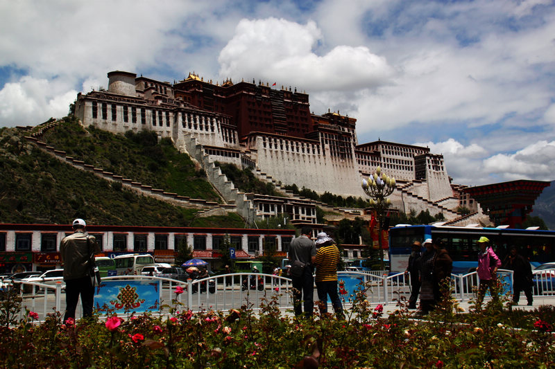 neo_img_img_1746=1.jpg