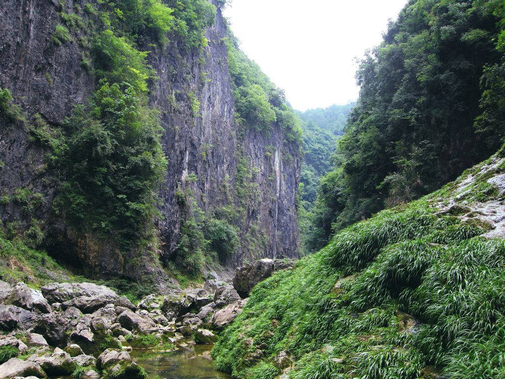 p44.jpg