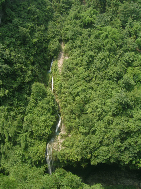 115.jpg