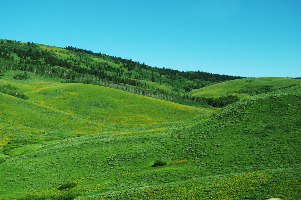 k1162779.jpg