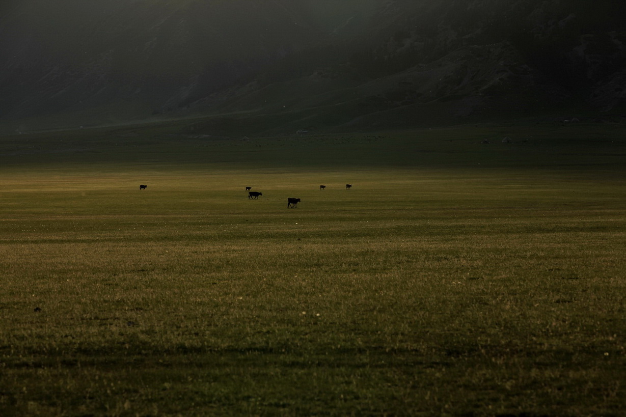 _mg_0968.jpg