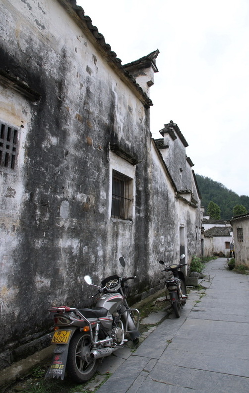 zls26.jpg