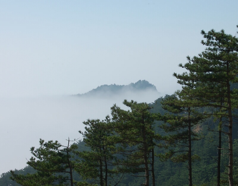 dsc_ (47).800x625.146.6k.jpg
