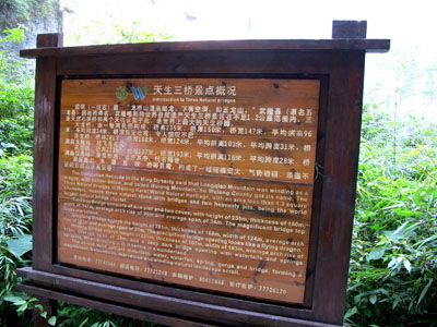 ʩ 413.jpg