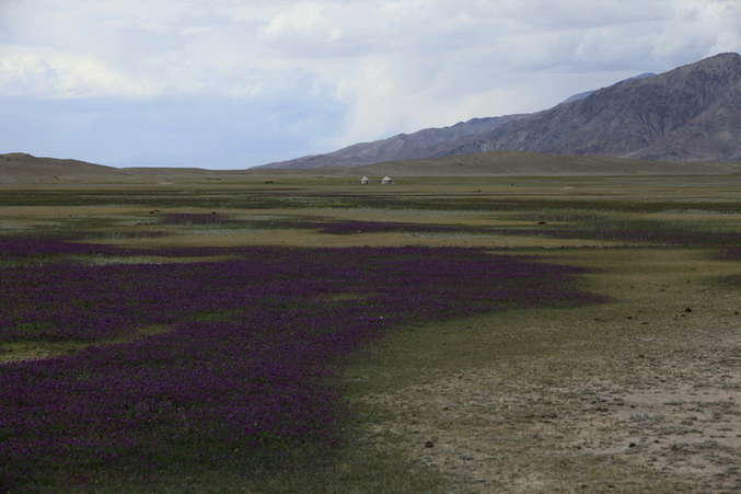 _mg_2521.jpg