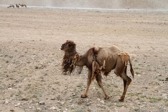 img_6466.jpg
