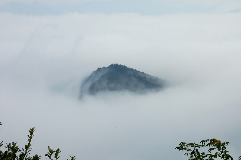 dsc_ (99).800x531.66.7k.jpg