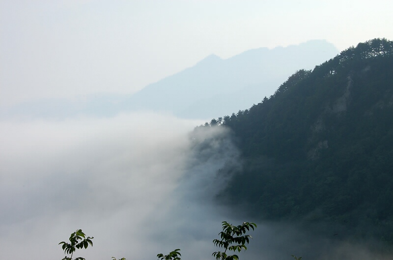 dsc_ (107).800x531.68.7k.jpg