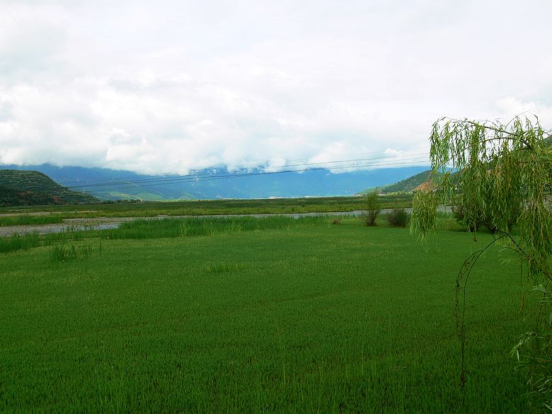 p1150871.jpg