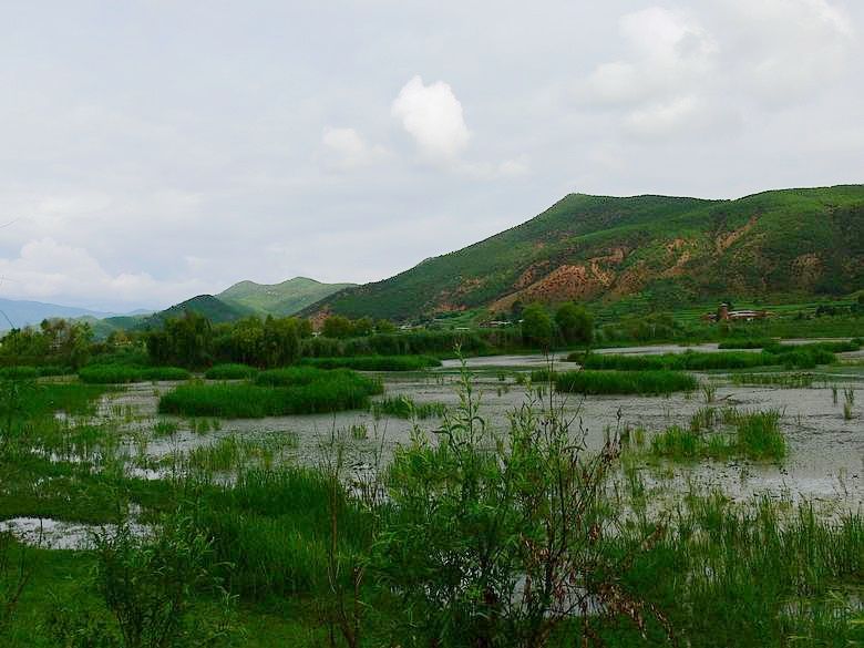p1150888.jpg
