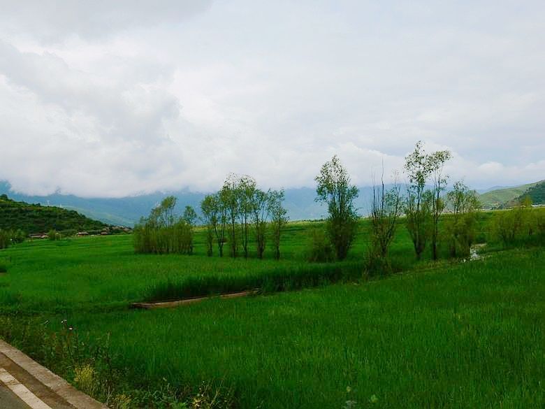 p1150891.jpg