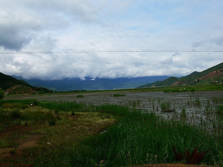 p1150881.jpg