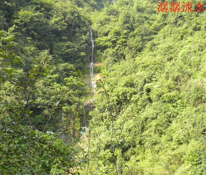 dscn1924__.jpg