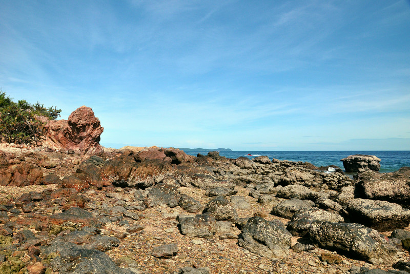 dsc_2859.jpg