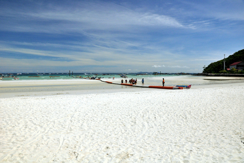 dsc_2890.jpg