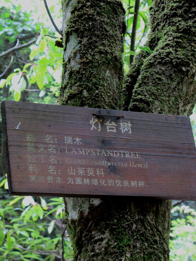 ʩ 587.jpg