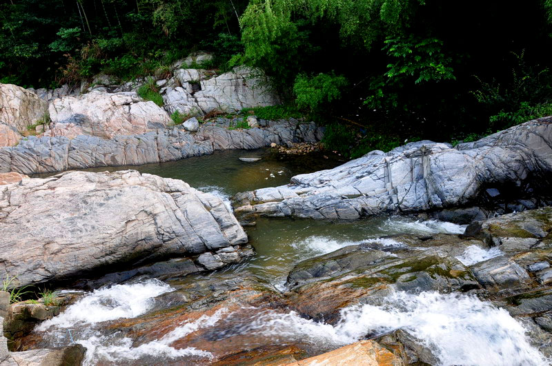 dsc_0086ys.jpg