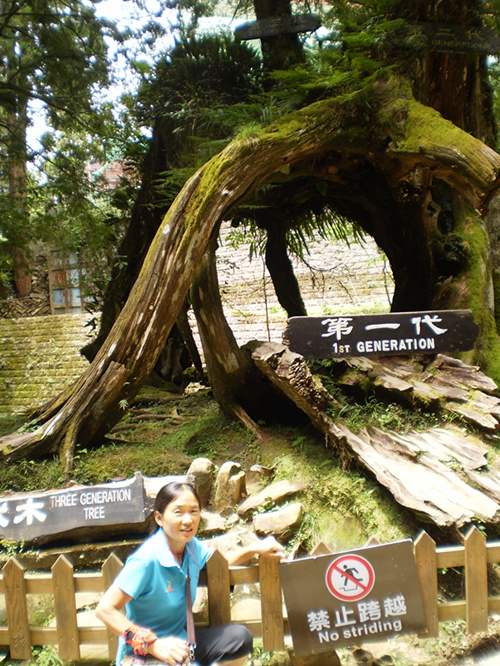p5290178_.jpg