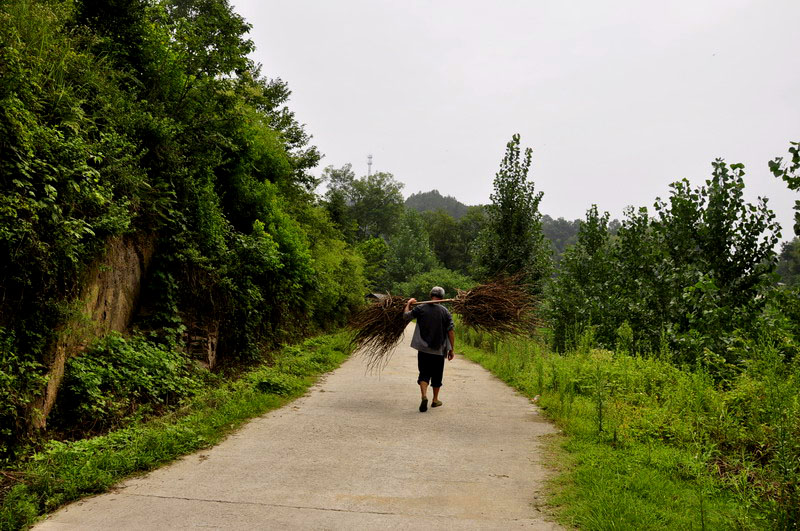 _dsc0640Է.jpg
