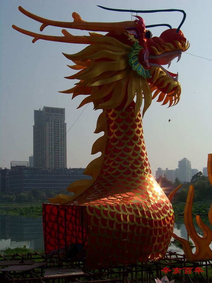 20110825g̨ƻ (40).jpg