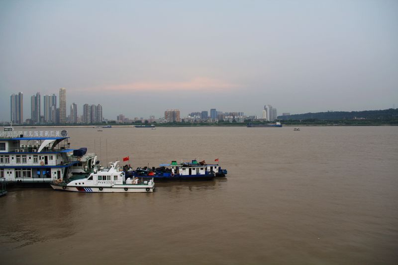 neo_img_img_1254.jpg