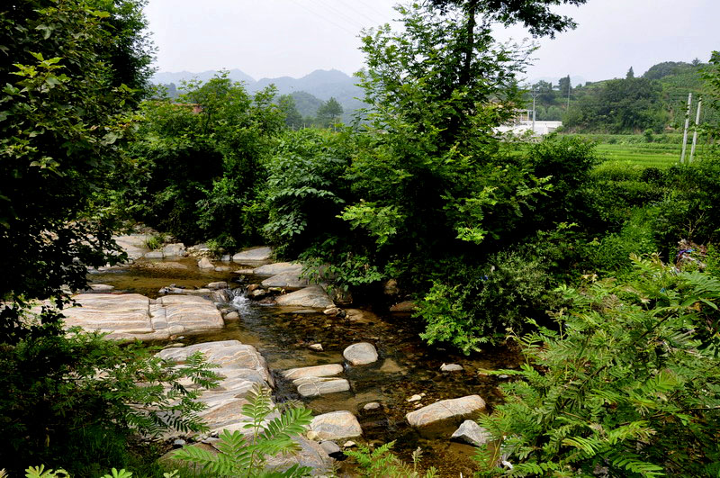 _dsc0669С.jpg