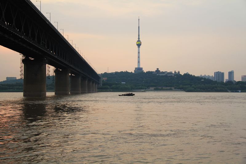 neo_img_img_1262.jpg