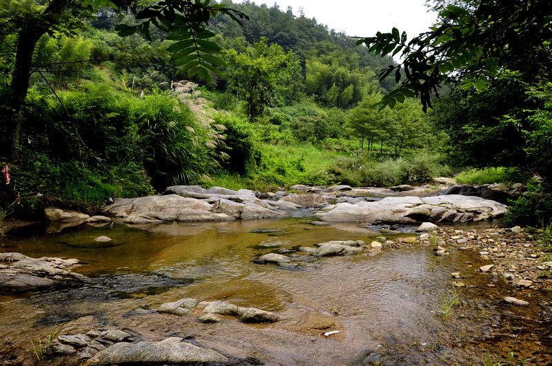 _dsc0703Сys.jpg