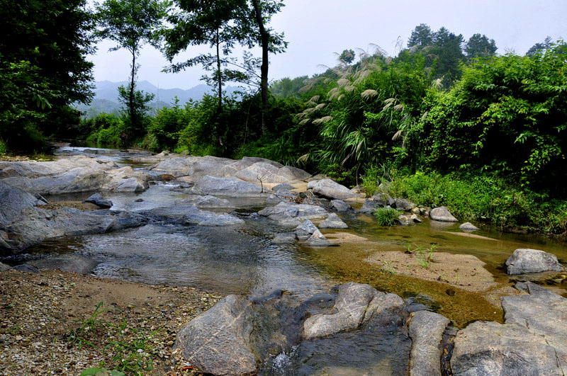 _dsc0708Сys.jpg