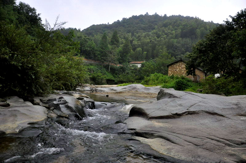 _dsc0800Сys.jpg
