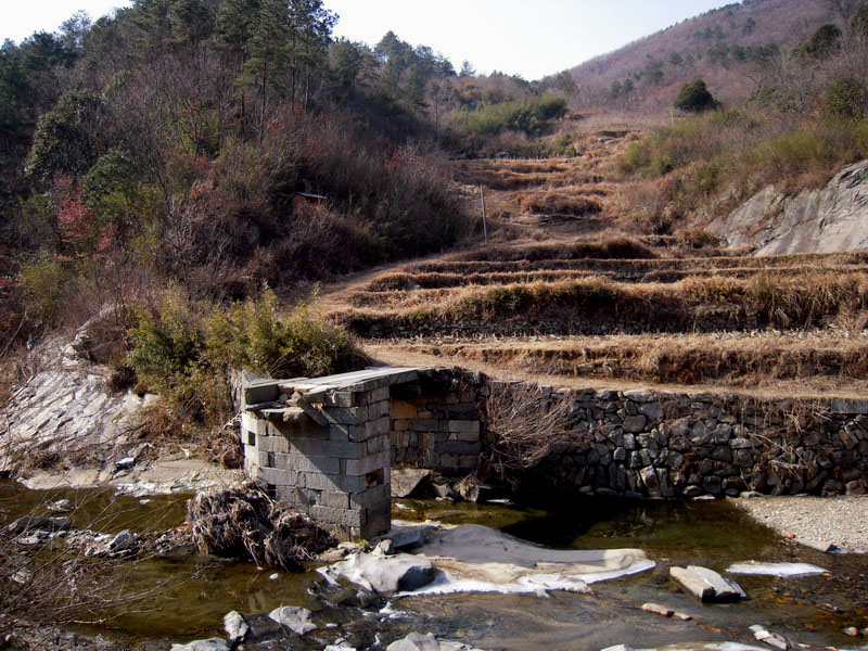 dscn3667.jpg