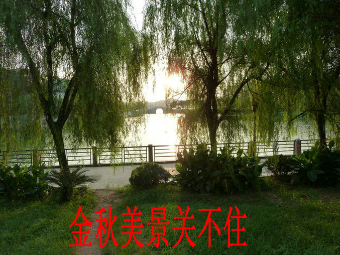 p1000102_.jpg