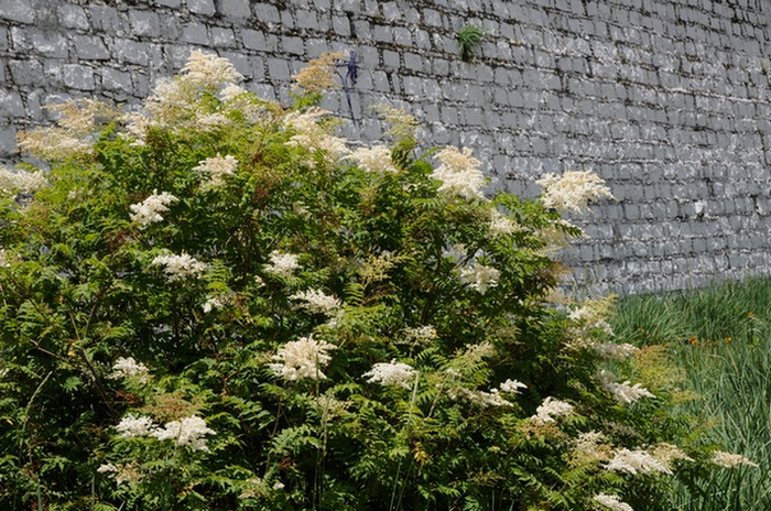 Ƭ 055.jpg