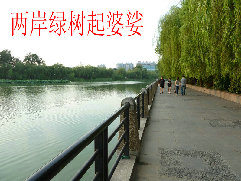 p1000103.jpg