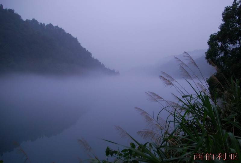dsc_0107_СС.jpg