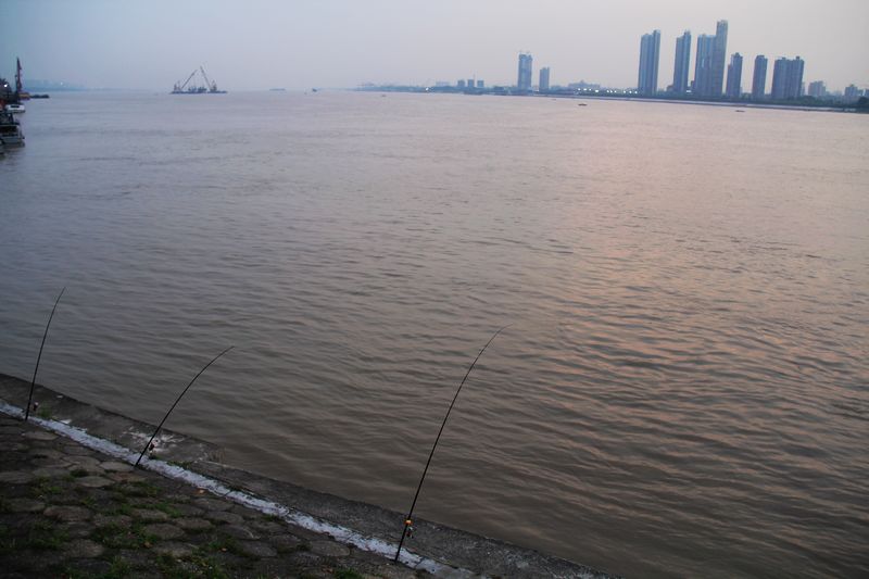neo_img_img_1272.jpg