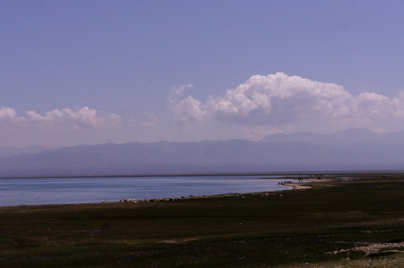 conew_dsc05777n.jpg