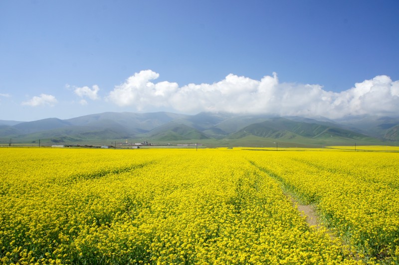 conew_dsc05716n.jpg